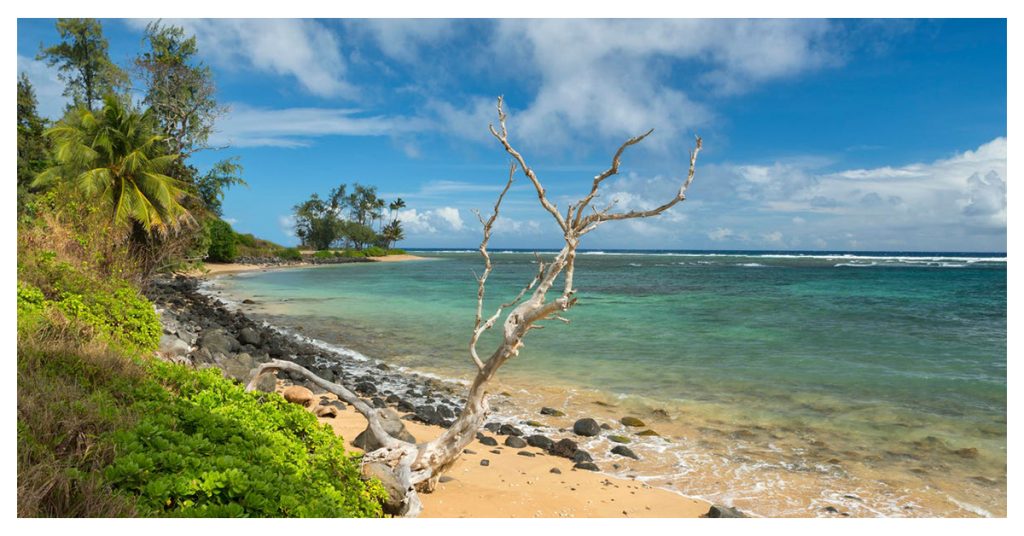 Molokai Island