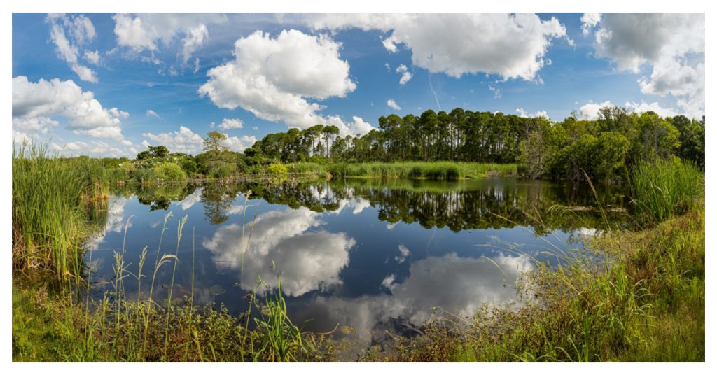 Pinckney Island