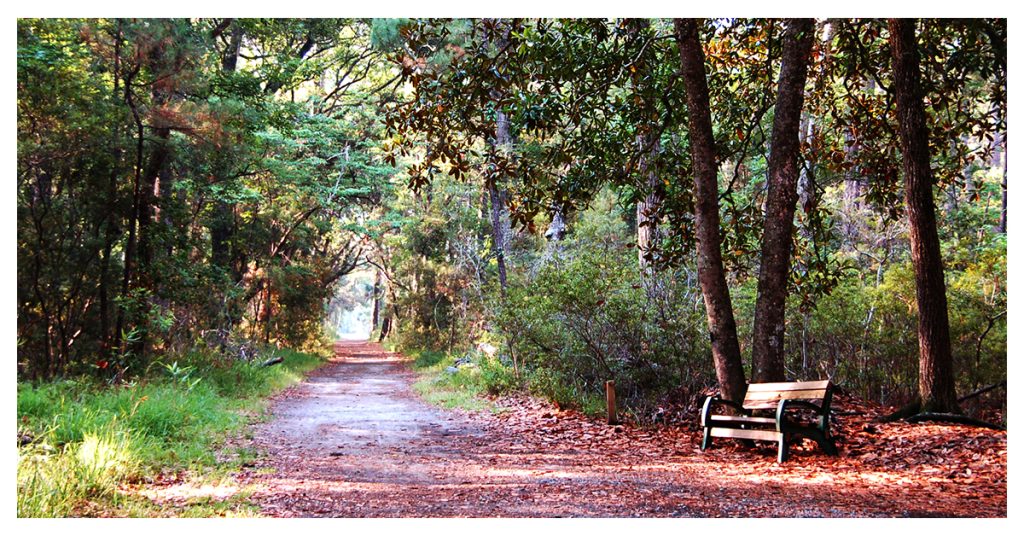 Skidaway Island