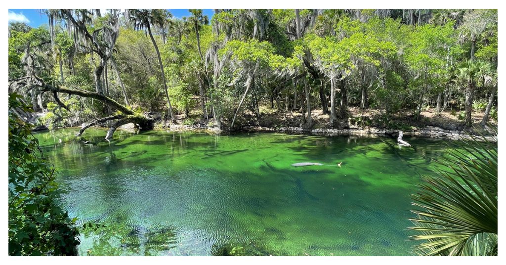 The Blue Spring State Park