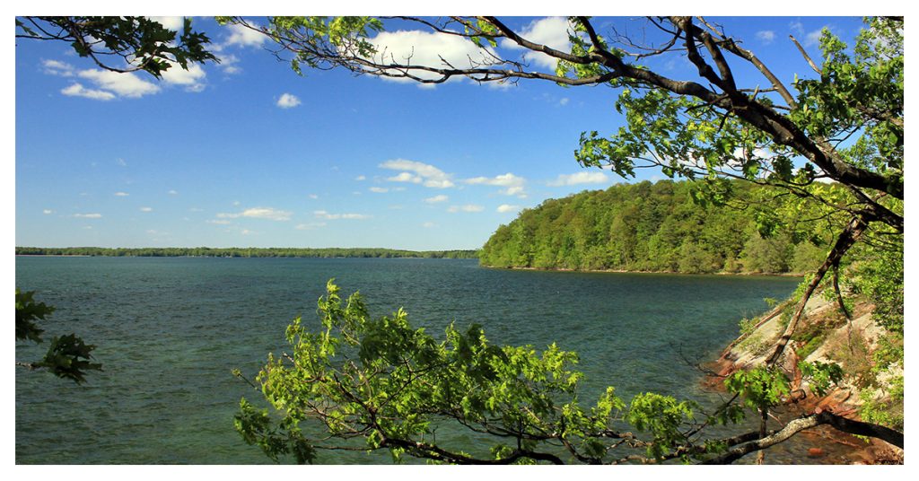 The Wellesley Island