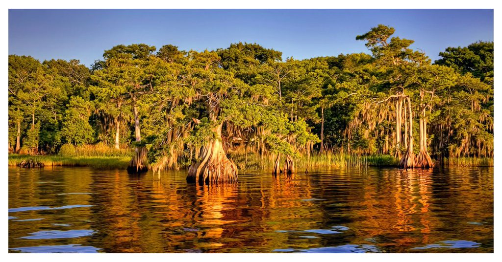 Blue Cypress Lake
