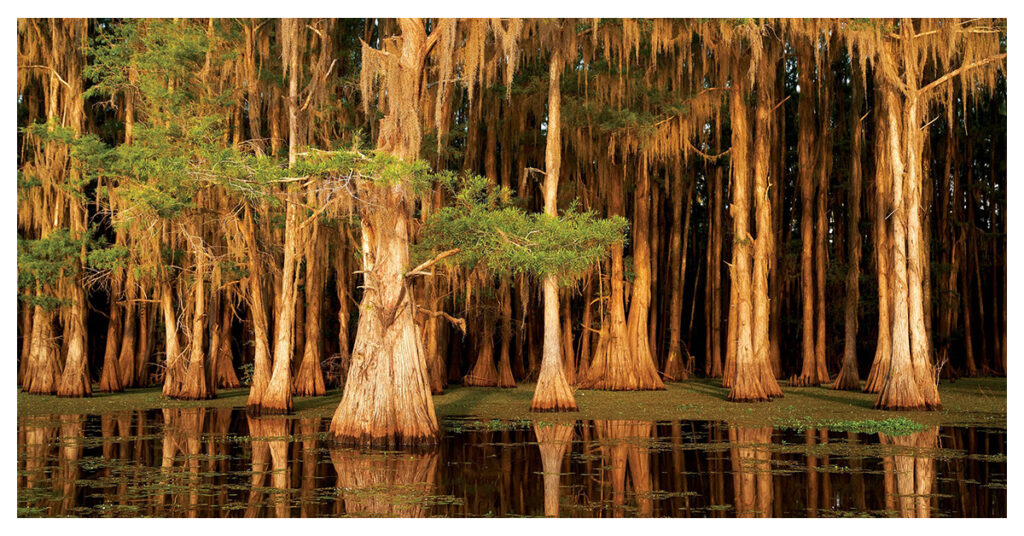 Texas Lakes