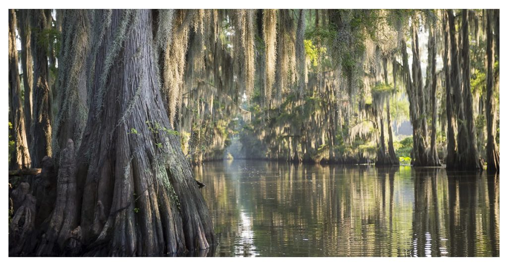 Caddo Lake