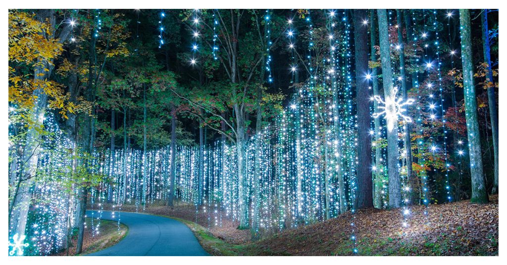 Callaway Gardens - Pine Mountain