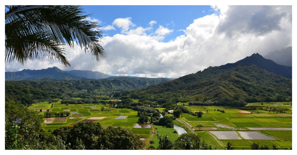 Hanalei National Wildlife Refuge