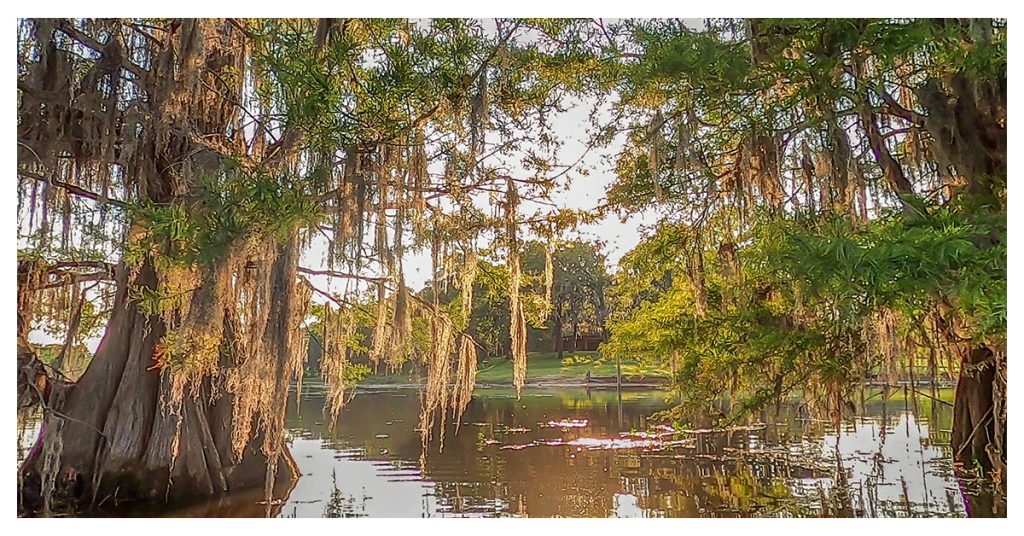Lake Bistineau