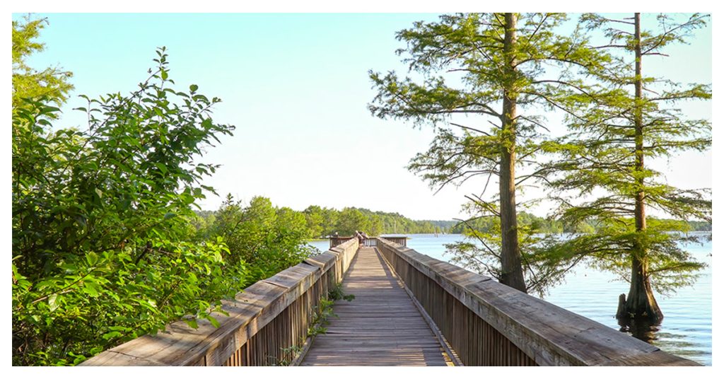 Lake D'Arbonne