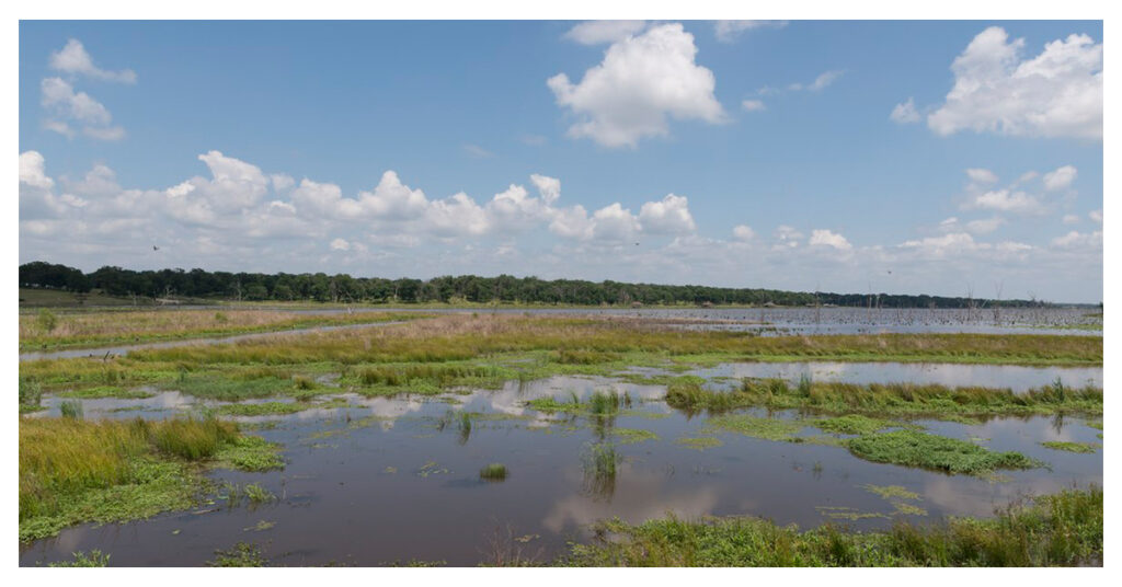 Lake Fork Reservoir