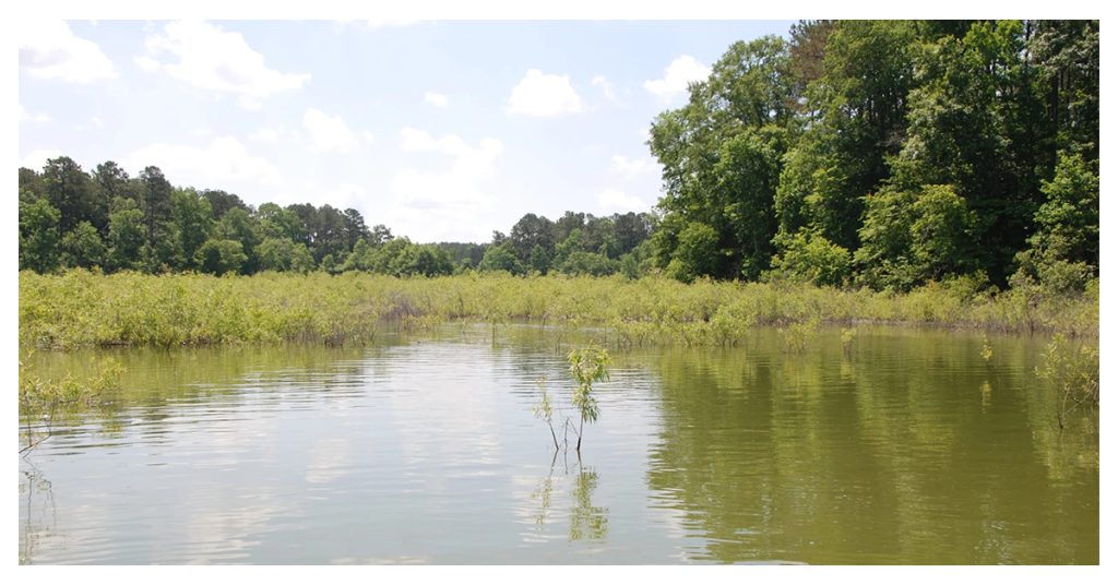 Lake Jeff Davis