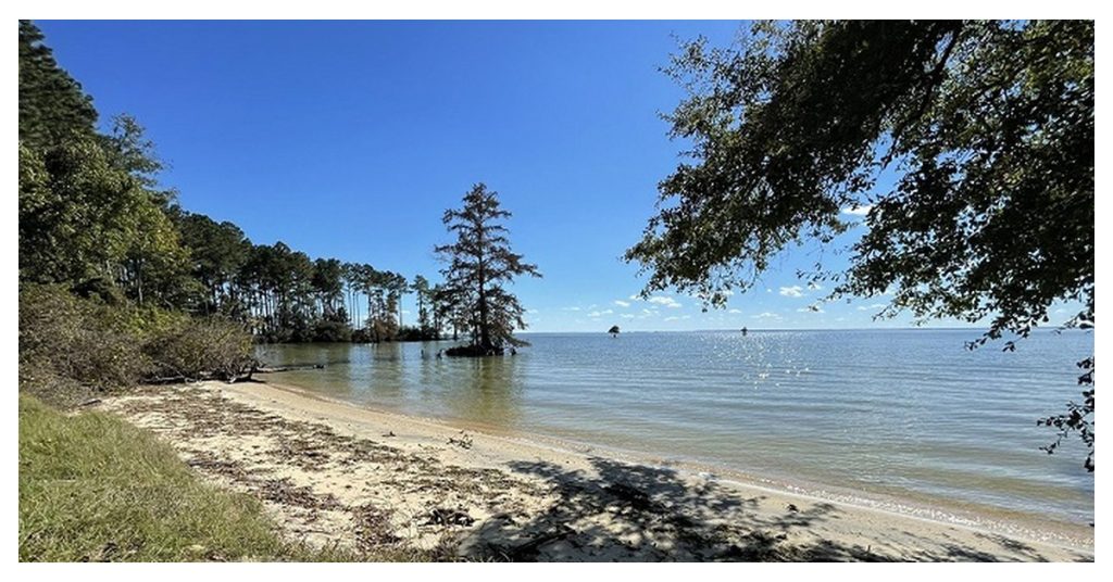 Lake Moultrie