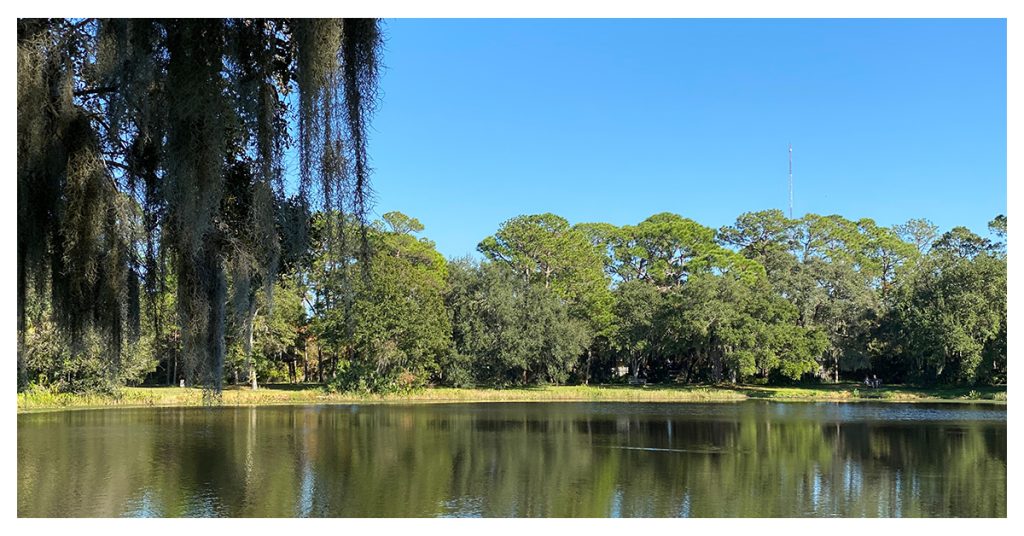 Lake Seminole