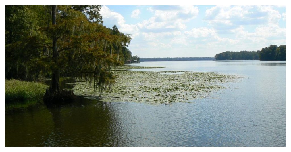 Lake Talquin