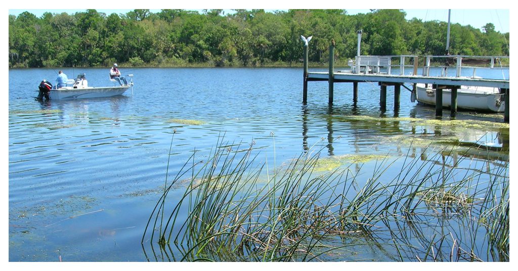 Lake Tarpon