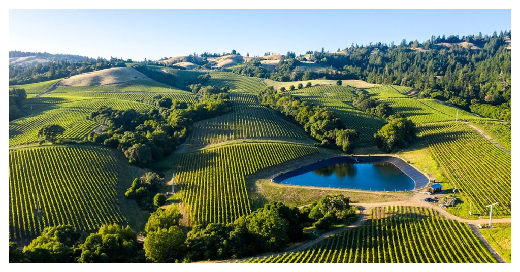 Napa Valley