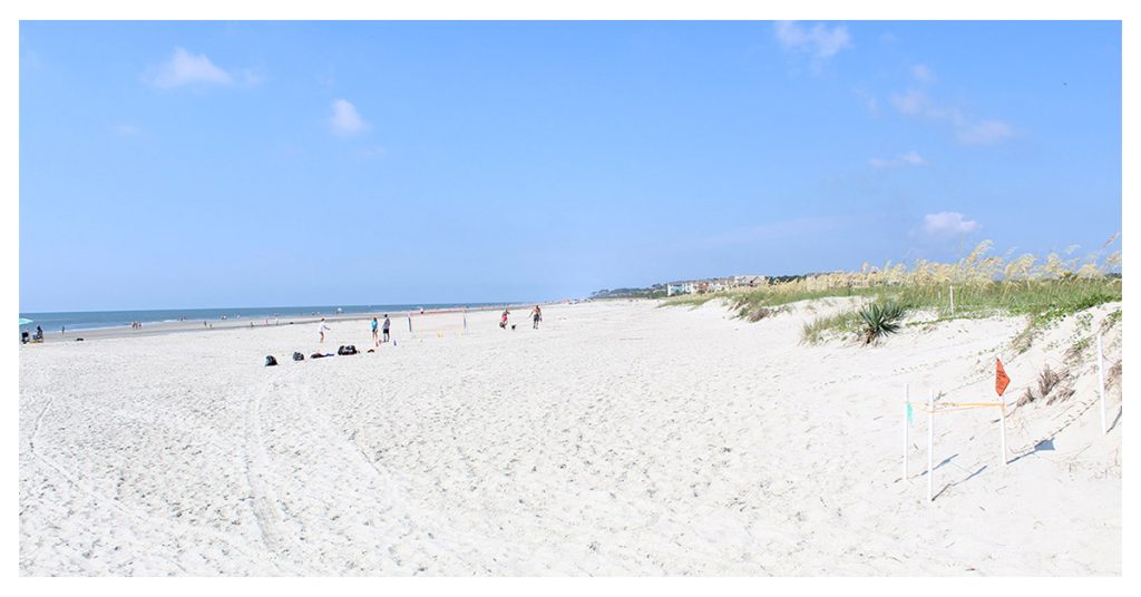 Burkes Beach