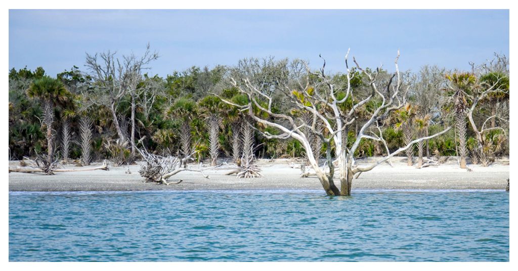 Edisto Beach State Park