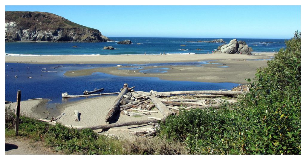 Harris Beach State Park
