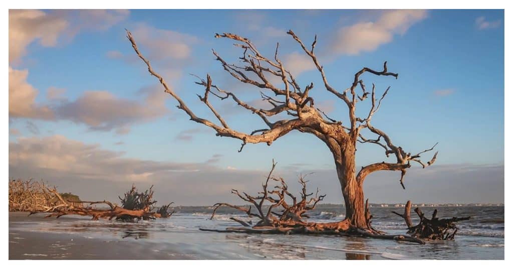 Jekyll Island