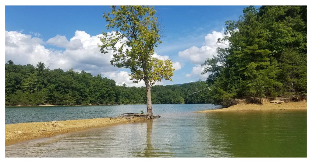 South Holston Lake Beach