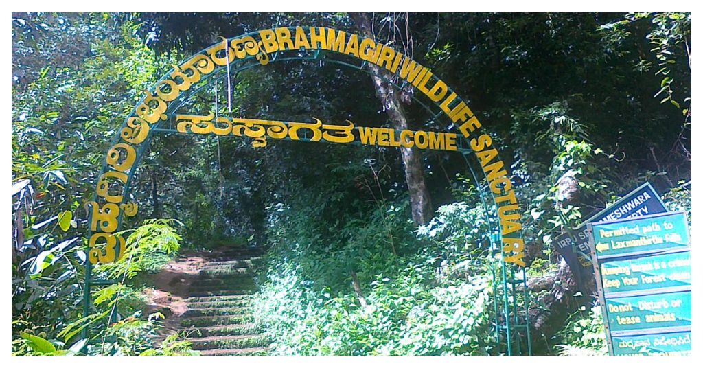 Brahmagiri Wildlife Sanctuary
