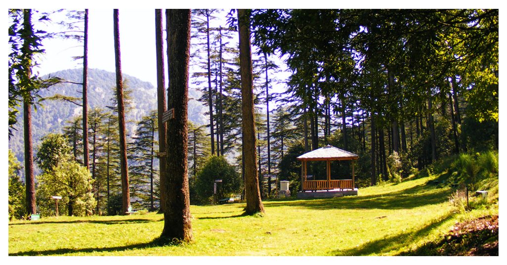 Dhanaulti