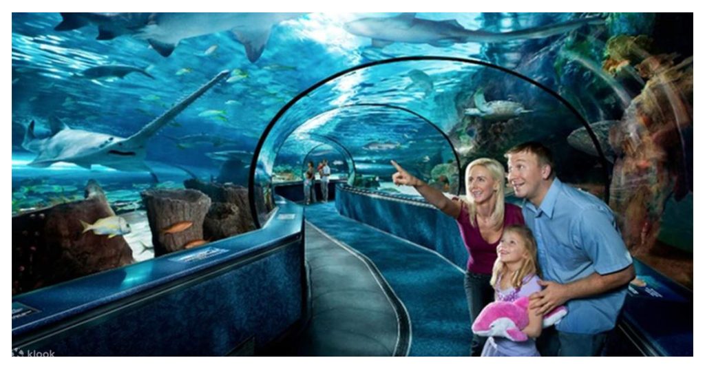 Explore Ripley's Aquarium