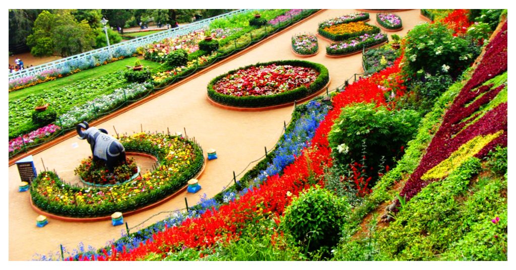 Government Rose Garden