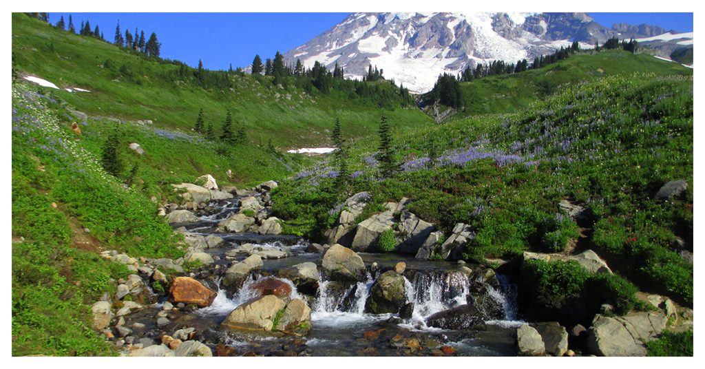 National Parks in Washington