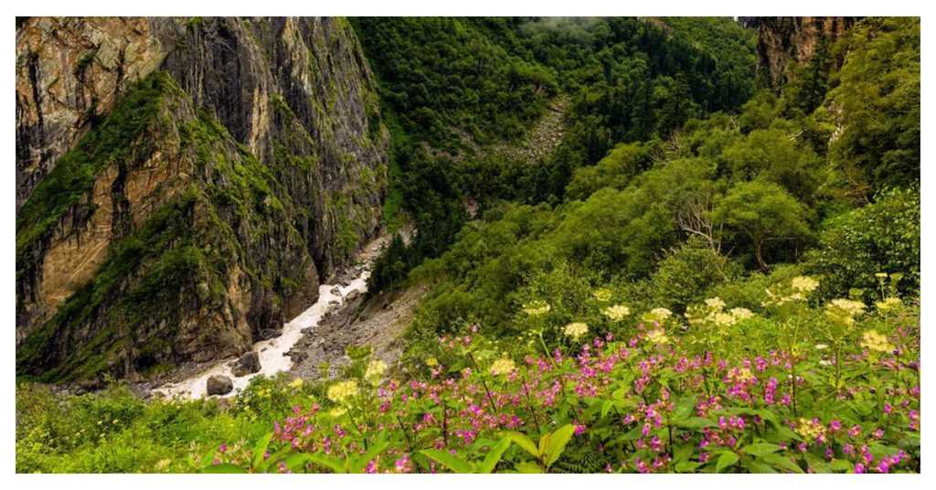 Nanda Devi National Park