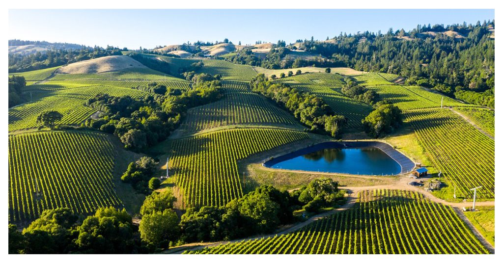 Napa Valley