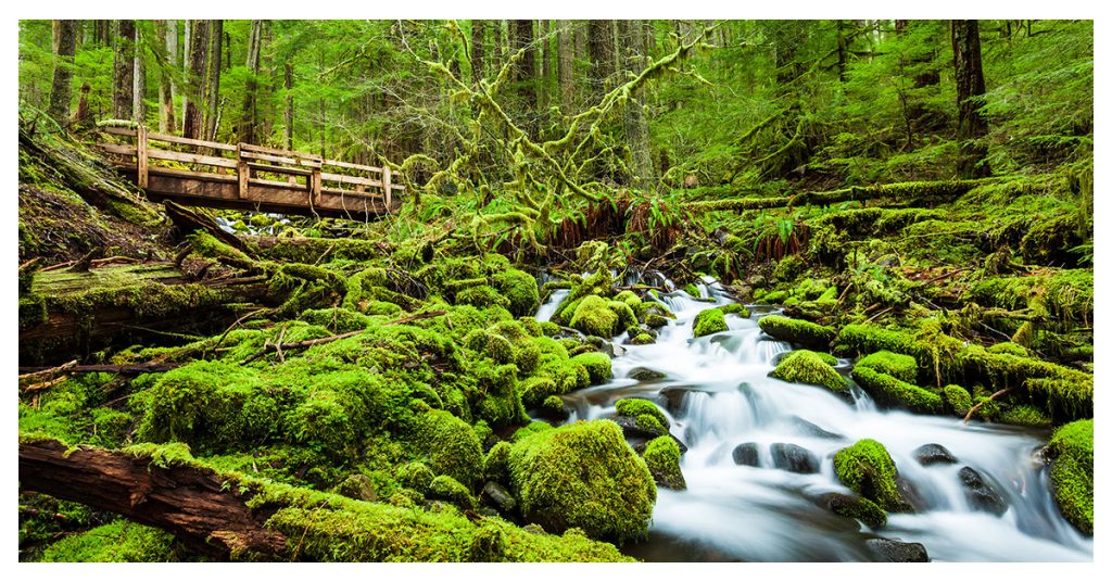 Olympic National Park