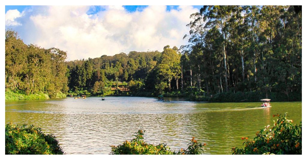 honeymoon in Ooty