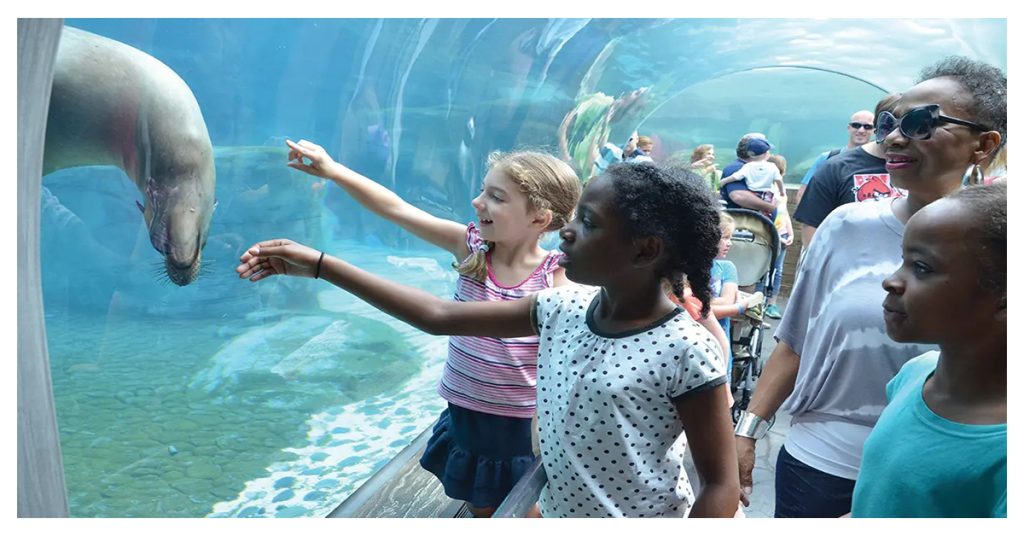 St. Louis Zoo