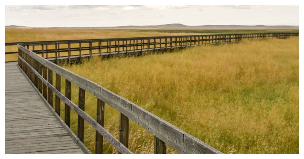 Benton Lake National Wildlife Refuge
