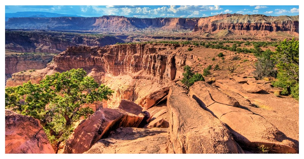 Capitol Reef National Park