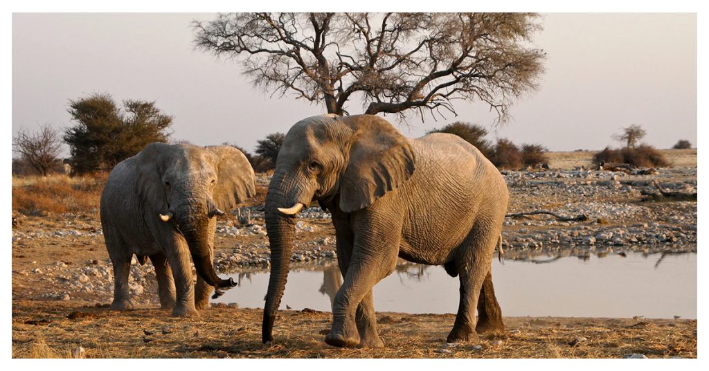 Namibia