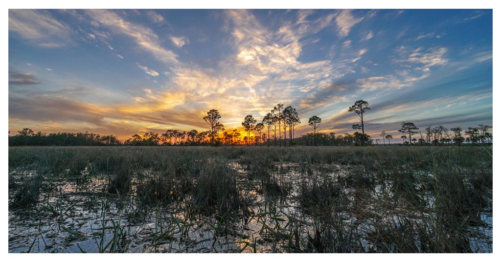 Big Cypress National Preserve