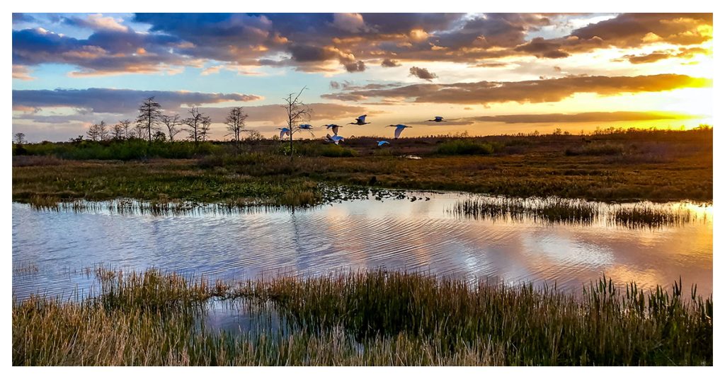 Florida National Parks