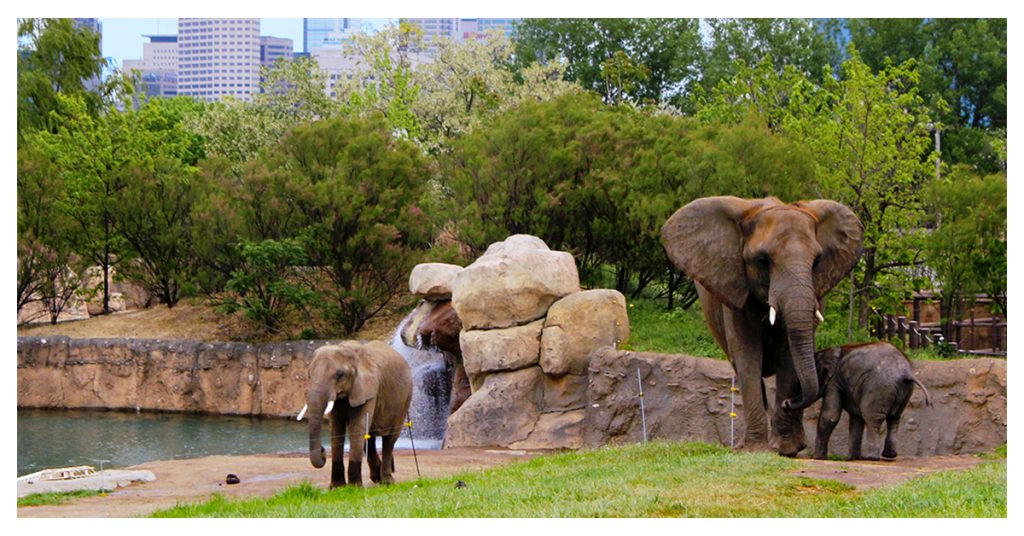 Indianapolis Zoo
