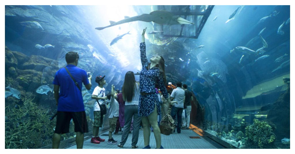 Best Things to Do in Maui