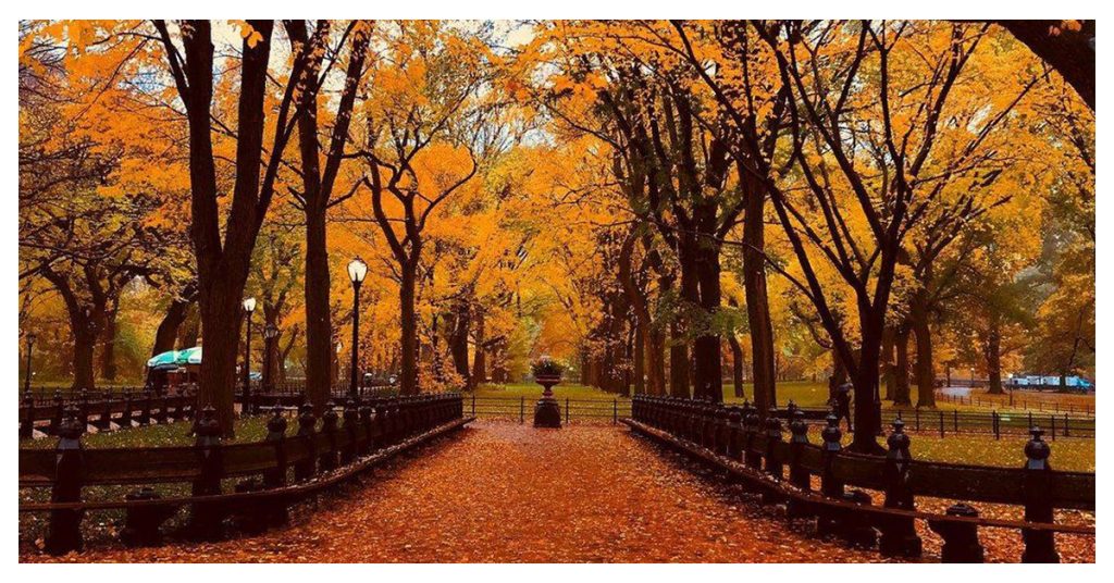 Best Time to Visit New York City