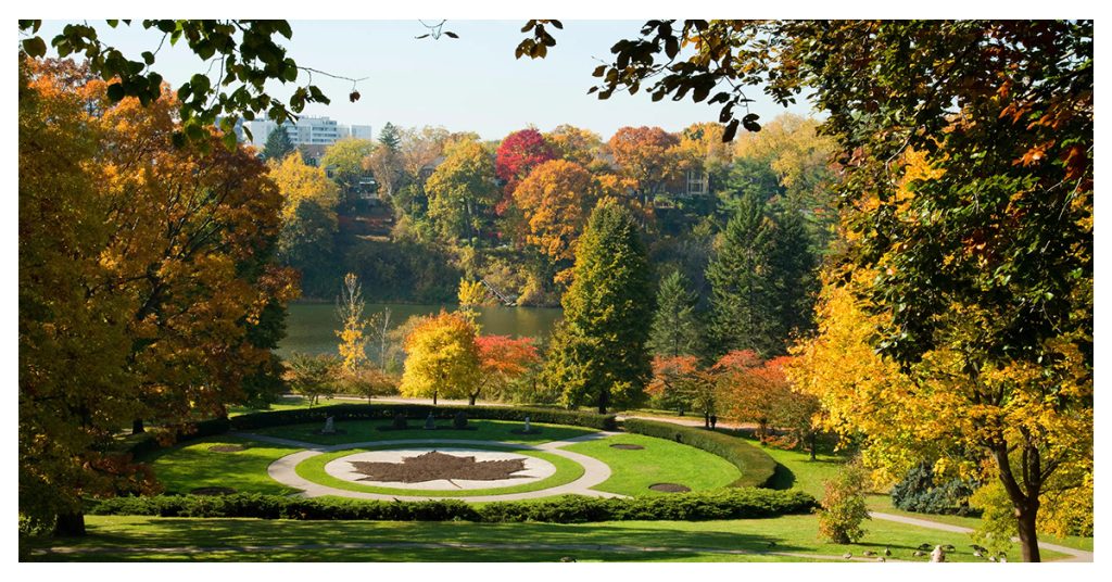 Picnic at High Park