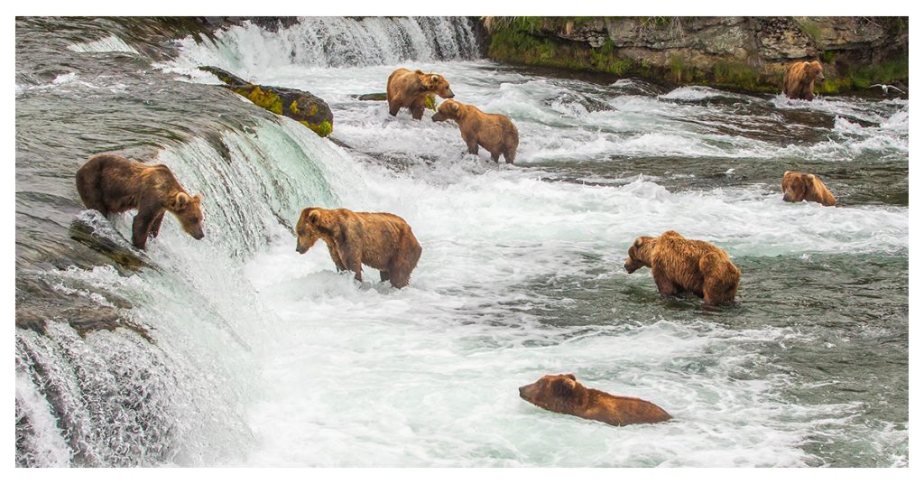 Katmai National Park