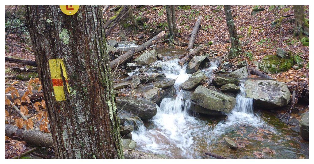 Loyalsock Trail