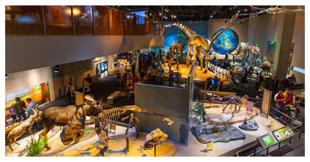 Dallas Texas Attractions
