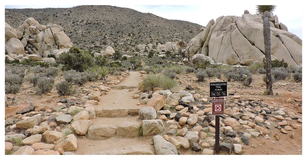 Best Hikes in Joshua Tree