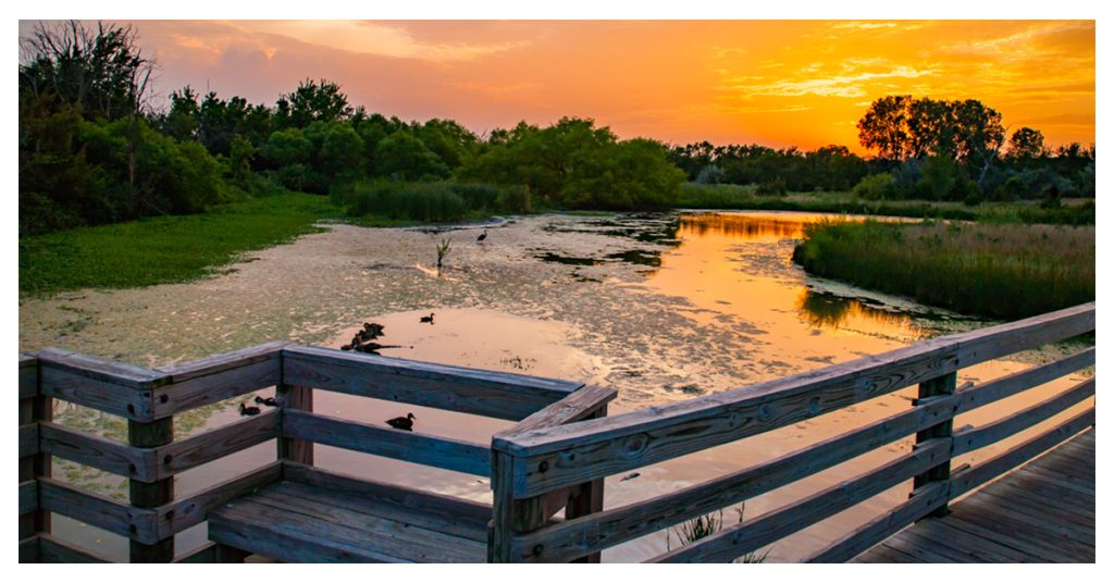 Chisholm Creek Park