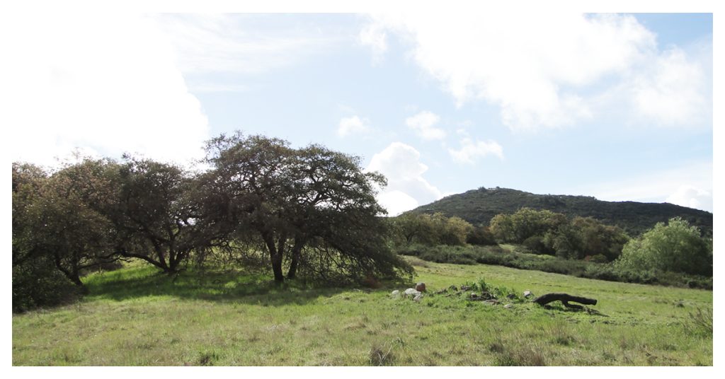 Daley Ranch