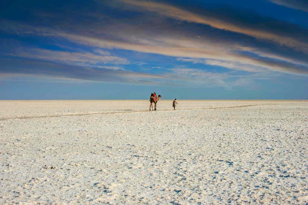 Rann of Kutch, Gujarat